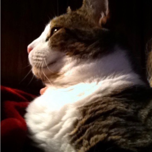 Meet your Posher, Evey - Picture 4 of 8